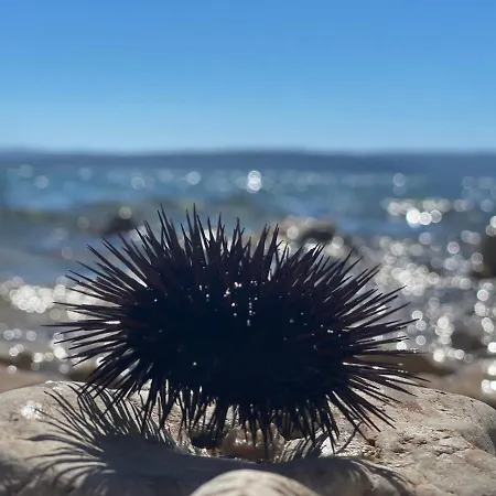 Casa Di Nives Krk Town