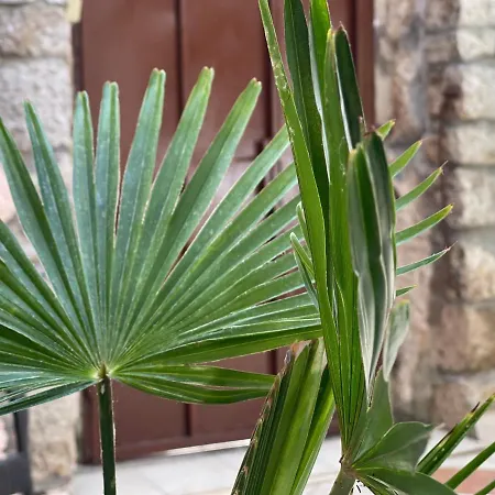 Apartman Casa Di Nives Krk Town