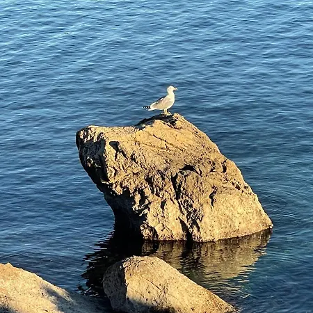 Casa Di Nives * クルク