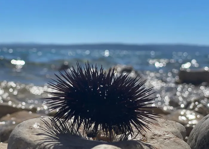 Casa Di Nives Krk Town